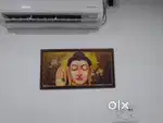 female Receptionist