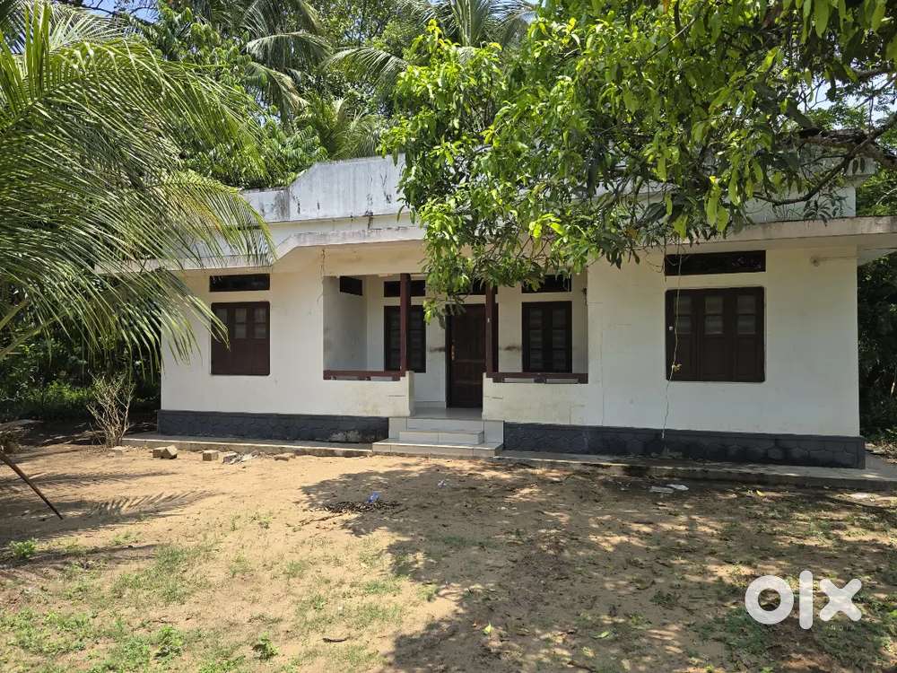 3Bedroom House For Rent Near Koonammavu Varapuzha