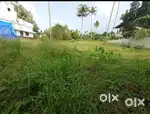 PLOT FOR SALE 10 CNET MANNAM BUS ROUTE SECOND PLOT