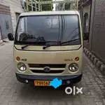TATA Ace Gold
