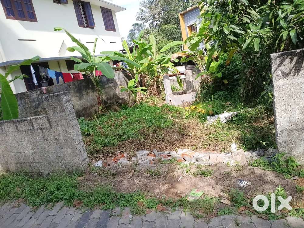 Best plot for flower mill, കിണർ ഉണ്ട്