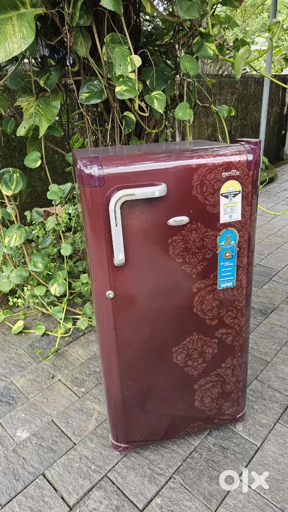 Company condition single door fridge