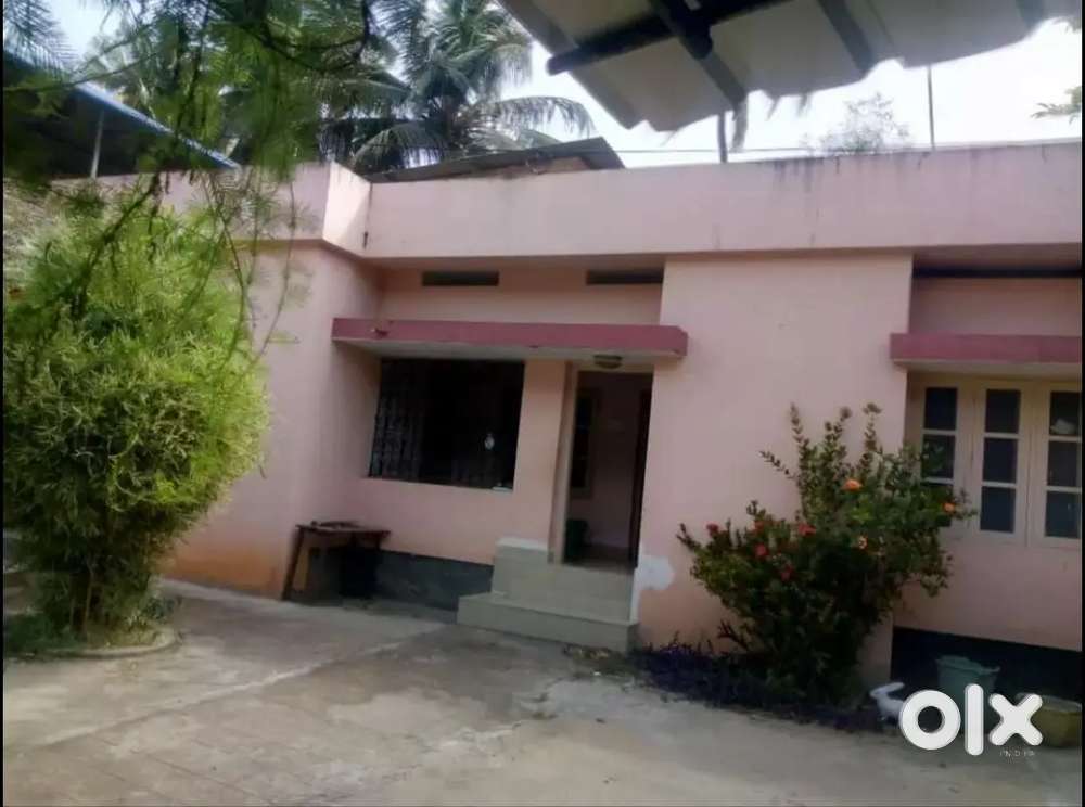 3bhk independent House for Rent