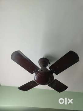Ceiling Fans