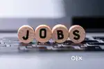 IMMEDIATELY JOB VACANCY