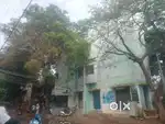 Houses sales