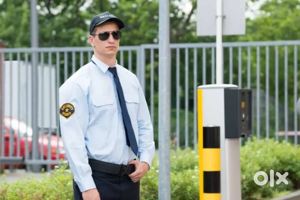 Fresher and experience candidate need