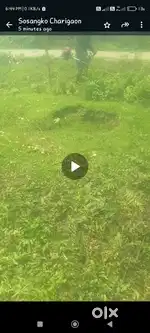 Land sale Bohotia gaon