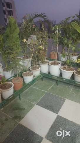 2 room set with terrace and roof top garden fully furnished