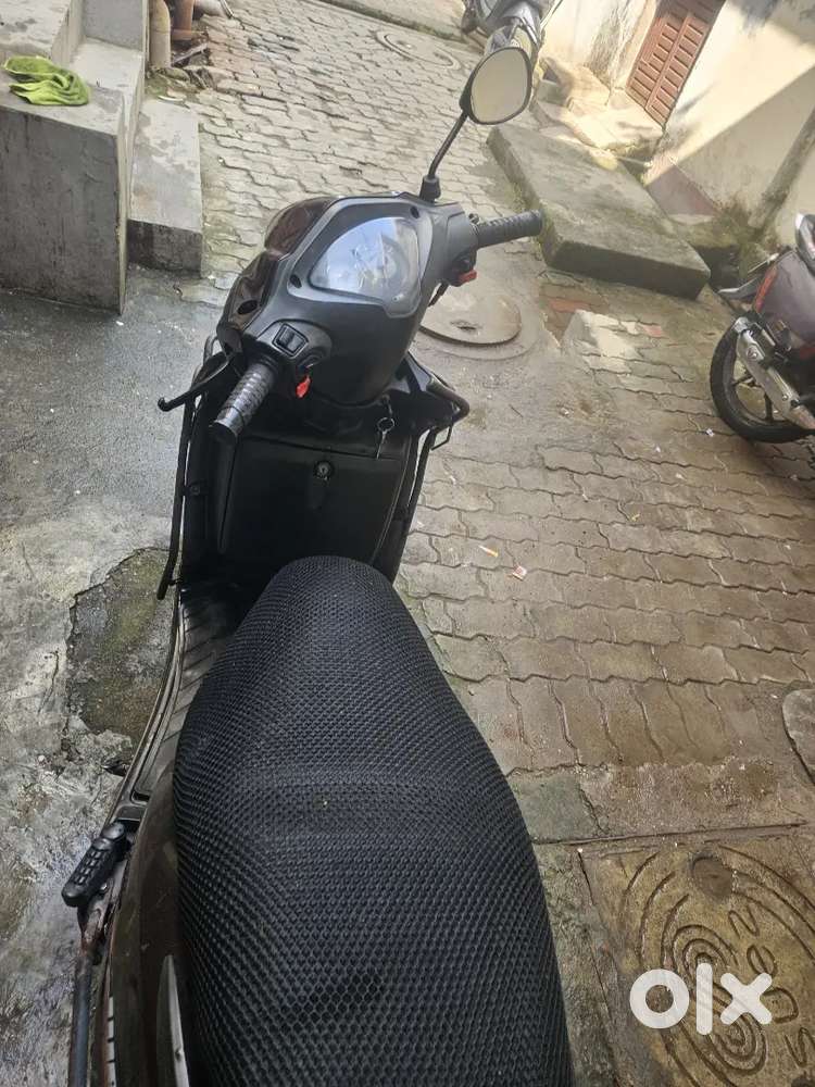 Wego 2012 Model