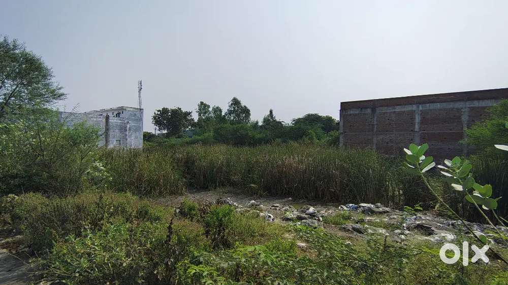 Urgent Property Sell ( Serious Buyer Only Msg )