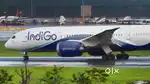 Indigo Airlines jobs /Vacancy for Airport Ground staf / Driver / Crew