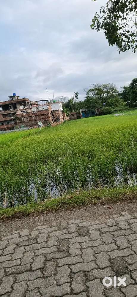 4 katha 10 lesa Land for sale