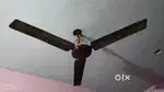 Celling Fan