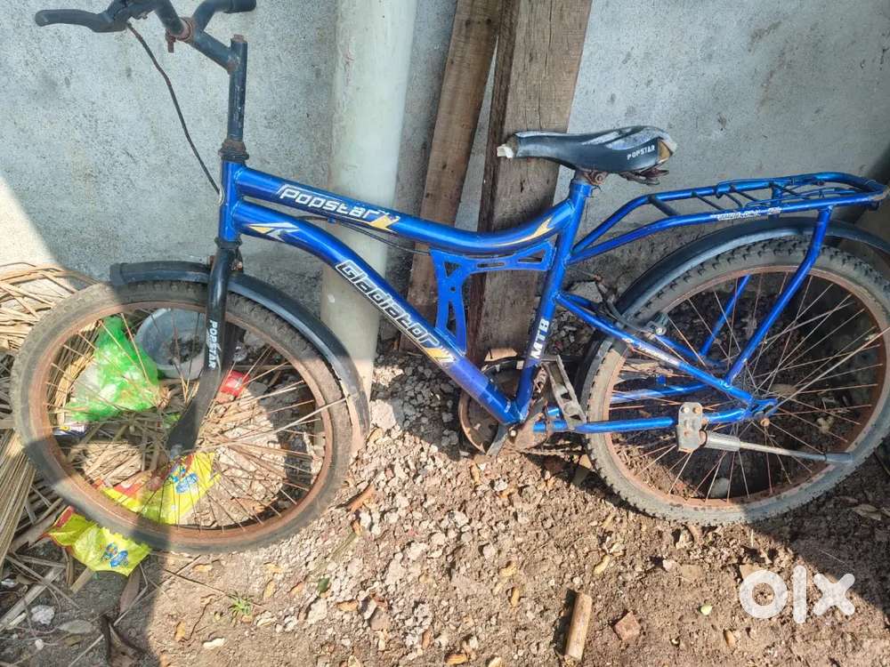Cycle at low price