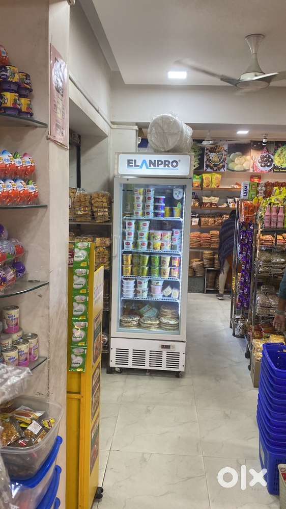 Elanpro vertical deep freezer