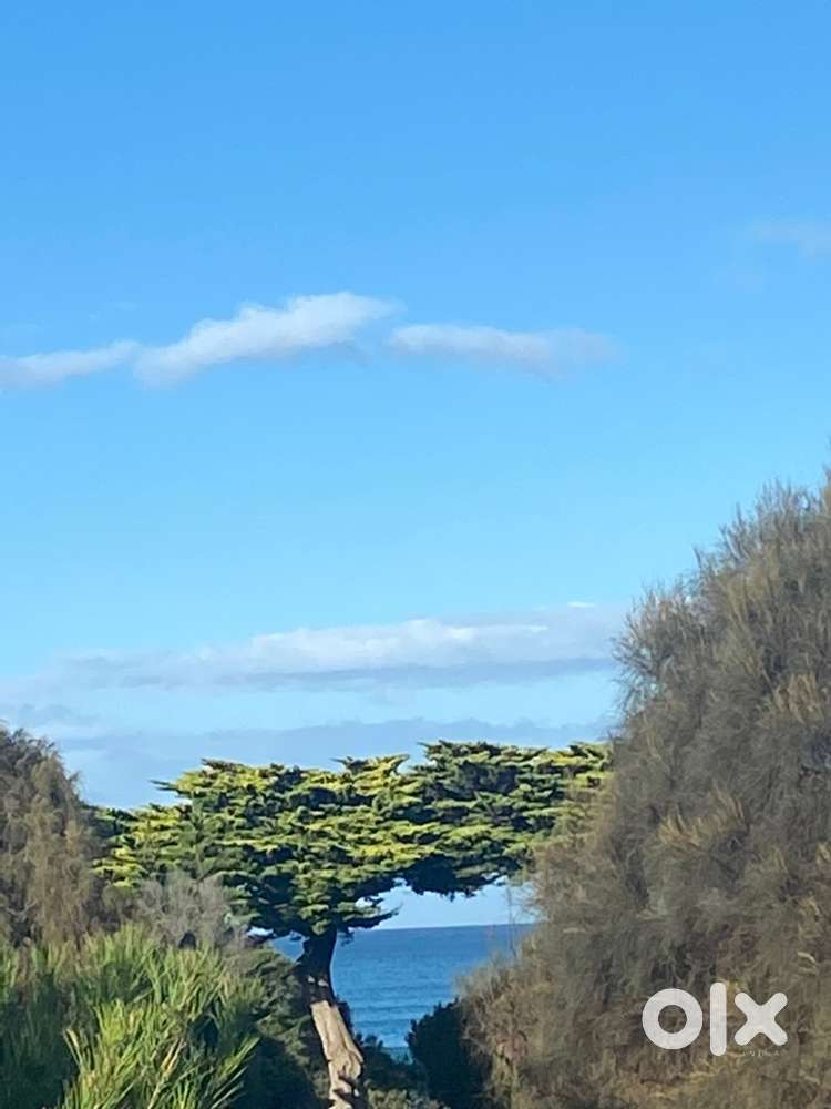 excellent flat at first floor