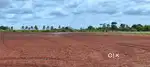 Agricultural land for sale