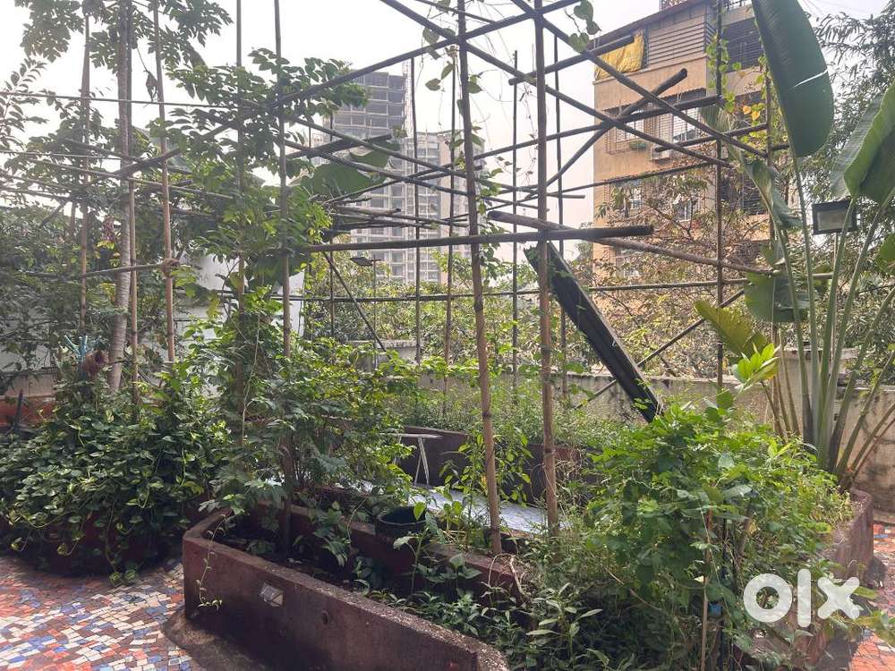 Voice controlled home with a 2000 sq, terrace in Kharghar