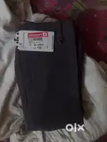 New men pant