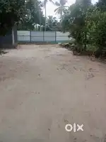 ബസ്റൂട്ട്ഫ്രണ്ടേജ്ആയിമെയിൻസൈഡ്8സെന്റ്സ്ഥലംപെരുംപ്പറചേർത്തല