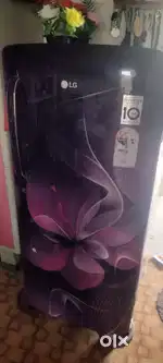 LG fridge smart