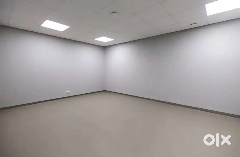 Spacious Basement for rent