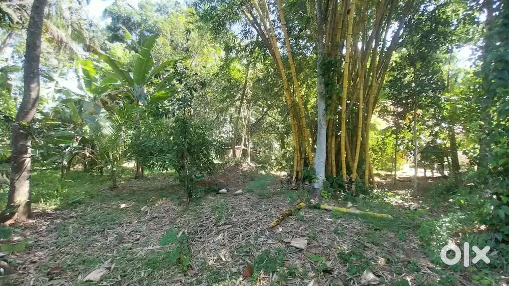 28 Cents of Land for sale near Vizhinjam Port