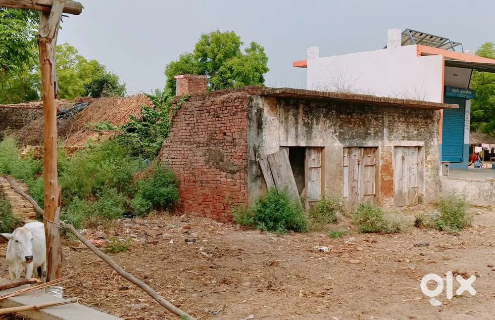 Amoli village main market