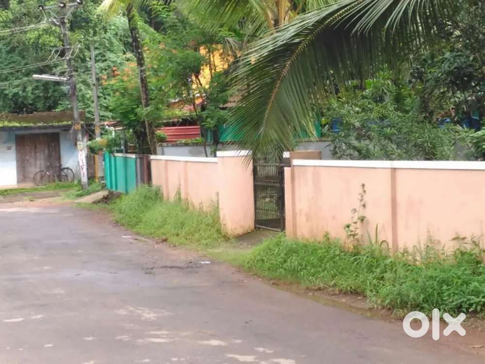 10 cent premium house plot near to chevayur