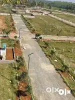 High return investment plots Limited Time Offer