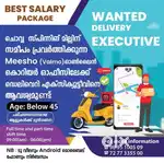 Delivery Executive