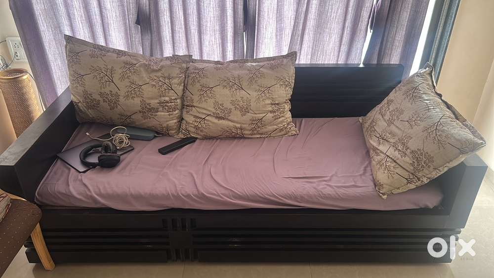 Sofa Cum Bed