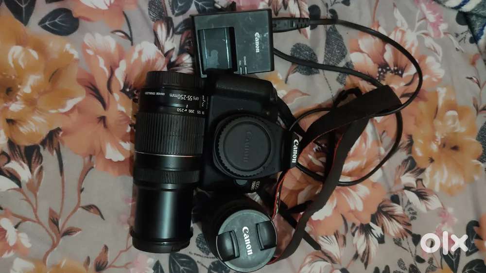 Canon 15000D 1 Year Old with 2 Lenses