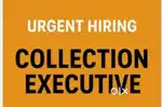 Collection executive