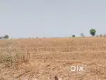 डांबर रोड टच शेती आहे साई नगर अमरावती. वरून 32 km