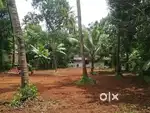 19 cent plot for sale