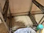 MAHI PEST CONTROL SERVICES