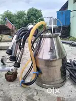 Cow milk machine