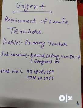 Primary Classes Teacher Urgently Required