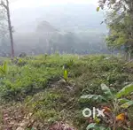 Plot for sale in Ranni