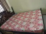 Coir Mattress (Sulfex make)