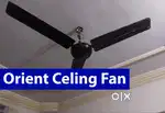 1 Ceiling Fan for Sale