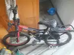 REMSON BICYCLE
