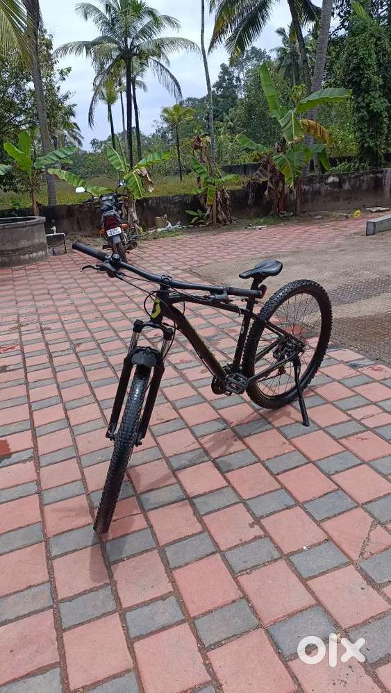 My scott for sale