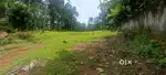 150 meter from kalluvathukkal junction  Chirakkara road