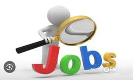 Job for a  girl    in zirakpur no targts calling work