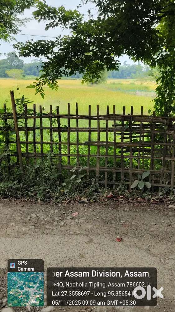 Emergency sell of myadi plot in Borkula road side area.