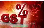 (Gst & incometax consultant)