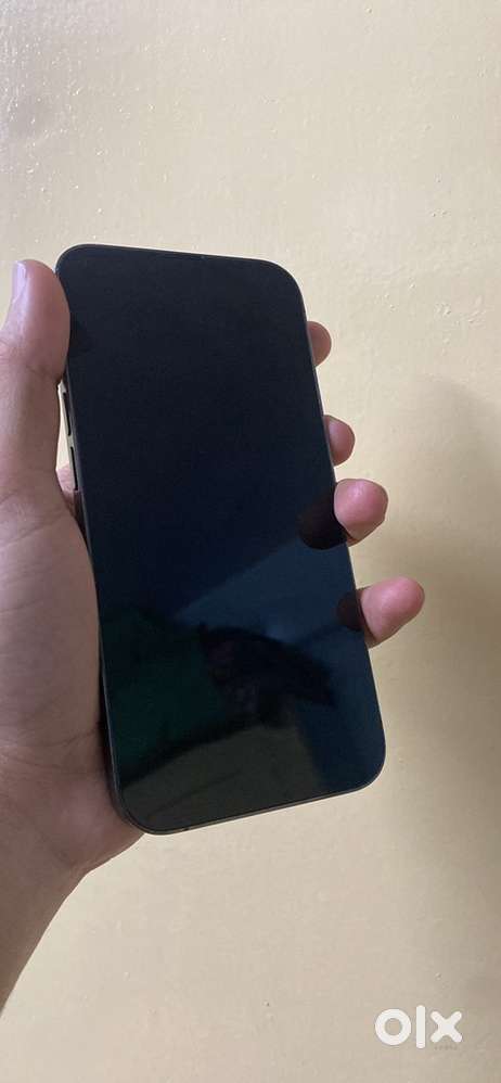 Iphone 13 pro (display changed)